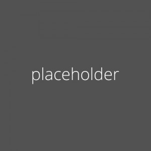 placeholder